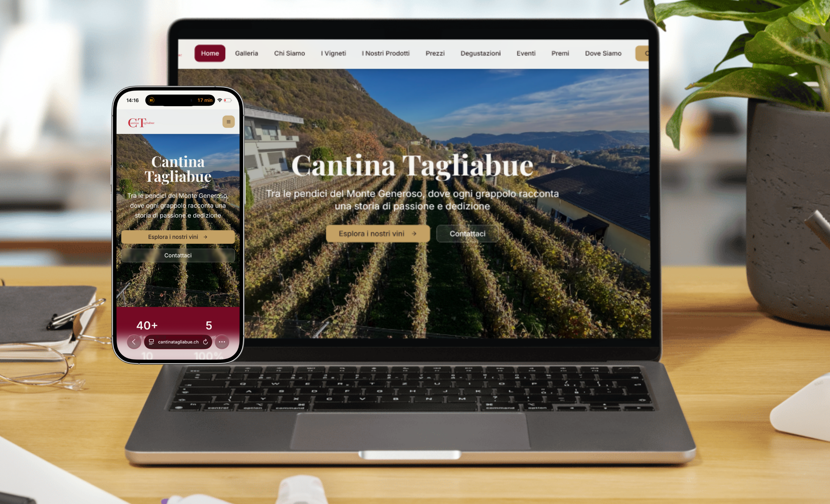 Cantina Tagliabue - Dopo (Impacta Hub)